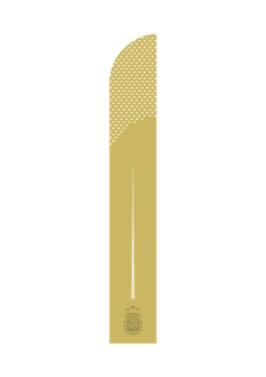 Argentina 2024 — Away / v1 1