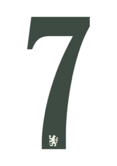Chelsea 2026 — Away 7