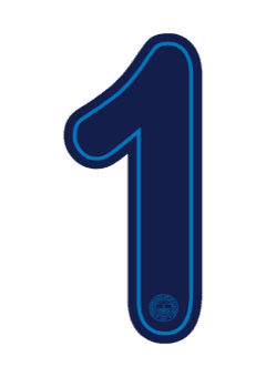 Fenerbahçe 2025 — Away 1