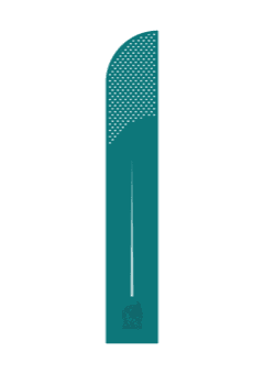 Mexico 2024 — Away 1
